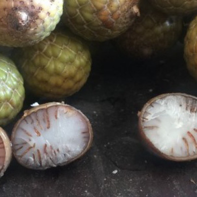 VÒNG TAY CHUỖI 108 HẠT BỒ ĐỀ TINH NGUYỆT 6x8mm TỰ NHIÊN