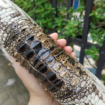 Ví dài cầm tay 2 khuôn size 21*11 cm đẹp khó cưỡng!