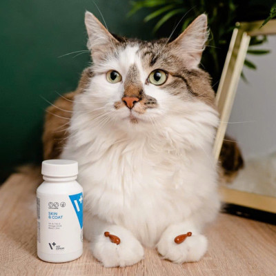 [ 30 viên ] Vet Expert bổ sung vitamin & khoáng , tăng cường miễn dịch, chăm sóc da và lông , xương khớp cho chó và mèo