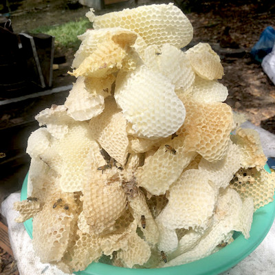 Sáp Ong Nguyên Chất 200g : Làm nến thơm, Làm Son dưỡng môi, giữ ẩm da, vật liệu làm bánh