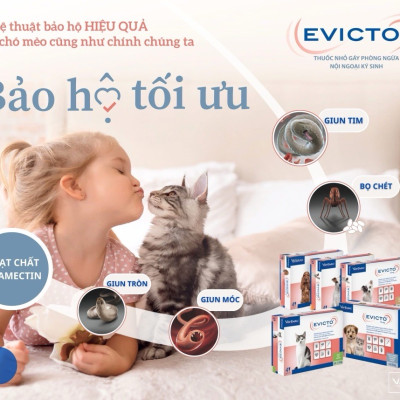 Virbac Evicto phòng bọ chét, rận tai, giun chó mèo (sản xuất tại Pháp)