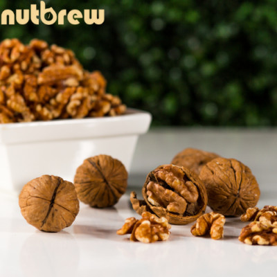 NHÂN ÓC CHÓ ASATR Túi 125gr