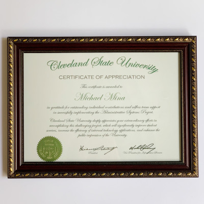 Combo 5 khung ảnh bằng khen  hoa văn A3,A4 - Khung ảnh treo tường kèm đinh tiện lợi