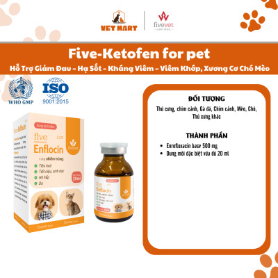 Five-Enflocin 2.5% for Pet Hỗ Trợ Hô Hấp Tiêu Hóa Da Tiết Niệu Kháng Khuẩn Toàn Diện Cho Thú Cưng
