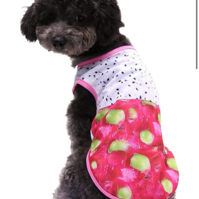 ÁO QUẢ THANH LONG DỄ THƯƠNG CHO THÚ CƯNG CHÓ MÈO