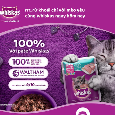 Pate Cho Mèo Con Vị Cá Ngừ Whiskas Kitten Hộp 12 Gói 80g 