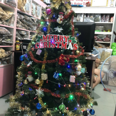 Cây thông noel màu xanh cao 150cm - Tán dày và đẹp, cây thông chắc chắn và dể tháo lắp