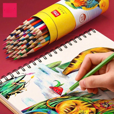 Bút chì màu chuyên nghiệp dạng cốc 24 MÀU Kèm Gọt