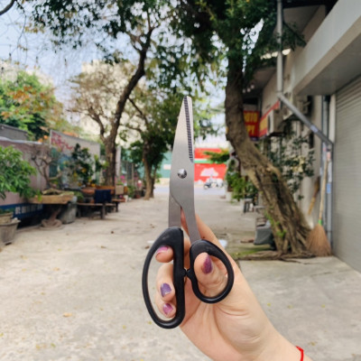 Kéo văn phòng không gỉ Echo Metal - Made in Japan (Giao màu ngẫu nhiên)