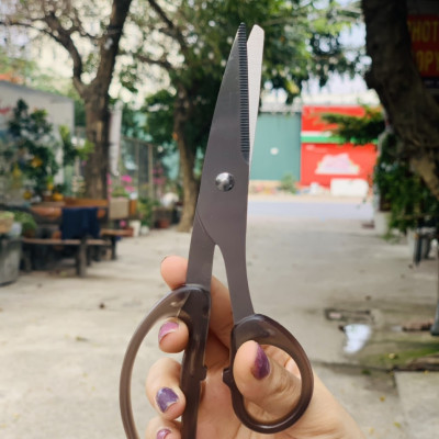 Kéo văn phòng không gỉ Echo Metal - Made in Japan (Giao màu ngẫu nhiên)