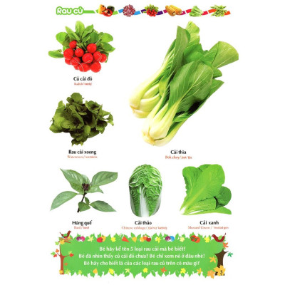 Từ Điển Tranh Về Rau - Củ - Quả - Hoa (Bìa Mềm) - Bản Quyền