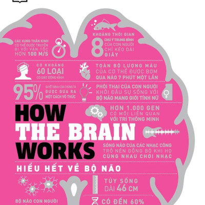 Sách - Hiểu hết về bộ não (How the brain works) (Nhã Nam HCM)