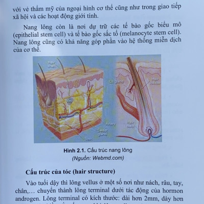 Sách - Tạo hình thẩm mỹ Đầu - Mặt - Cổ & Mông - Chân - Tay