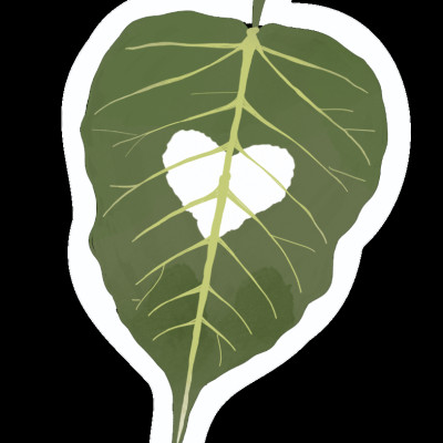 Yêu Lành – Chuyện Tình Yêu Dưới Góc Nhìn Phật Giáo