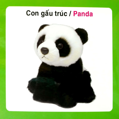 Từ Điển Hình Ảnh Cho Bé - Động Vật Hoang Dã