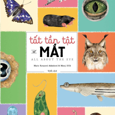 Tất Tần Tật Về Mắt - All About The Eye
