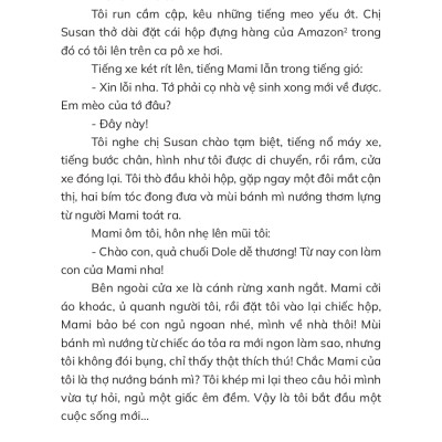 Mùa Hè Có Tuyết