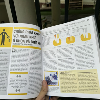 (Bìa cứng – in màu) SINH HỌC - Khái lược những tư tưởng lớn – DK – Nguyễn Thị Bình dịch – Đông A