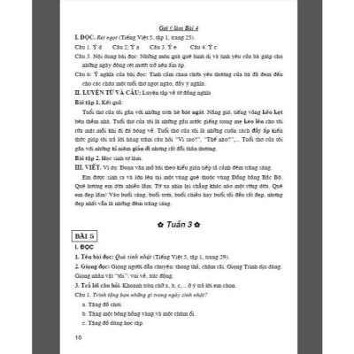Sách - Bồi Dưỡng Tiếng Việt 5 - Dùng Cho Bộ Sách Chân Trời Sáng Tạo - Hồng Ân