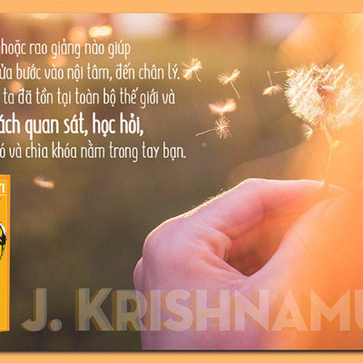 Bộ sách của J.Krishnamurti: Bạn đang nghịch gì với đời mình & Tự do vượt trên sự hiểu biết