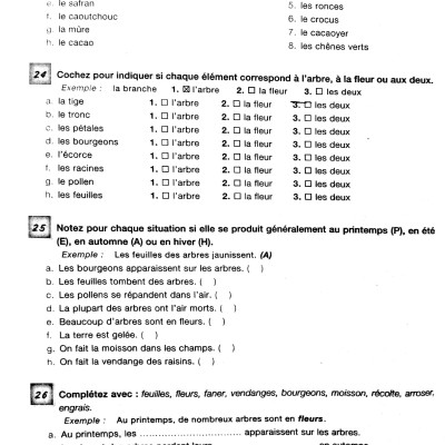450 Vocabulary Niveau Intermediare