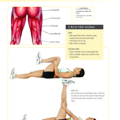 Khỏe Đẹp Với Các Bài Tập Cơ Bản