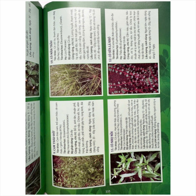 Sách Tuyển Chọn Các Bài thuốc Nam Chữa Triị Bệnh Theo Mùa, Các Bệnh Hậu COVID - V2494D