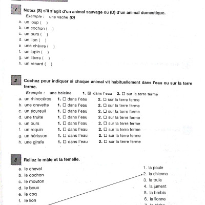 450 Vocabulary Niveau Intermediare