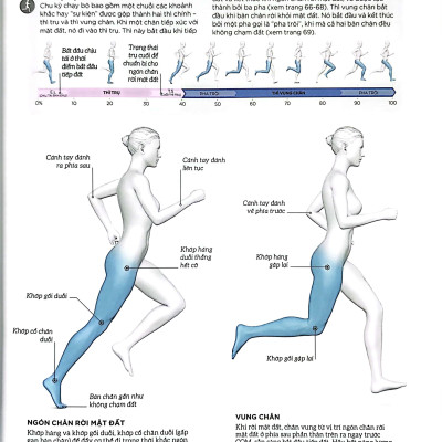 Khoa Học Về Chạy Bộ - Phân Tích Kỹ Thuật, Phòng Ngừa Chấn Thương, Đổi Mới Cách Tập Luyện - Bìa Cứng