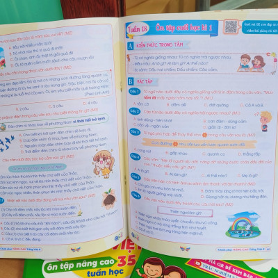 Sách - Chinh Phục Nâng Cao Tiếng Việt Lớp 3 - Cánh Diều