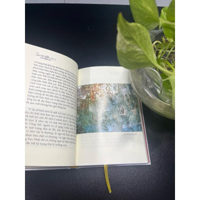 Sách - Soi Sáng Thực Tại (Thầy Viên Minh)