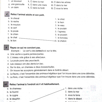 450 Vocabulary Niveau Intermediare
