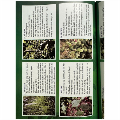 Sách Tuyển Chọn Các Bài thuốc Nam Chữa Triị Bệnh Theo Mùa, Các Bệnh Hậu COVID - V2494D