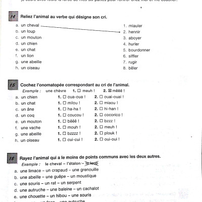 450 Vocabulary Niveau Intermediare