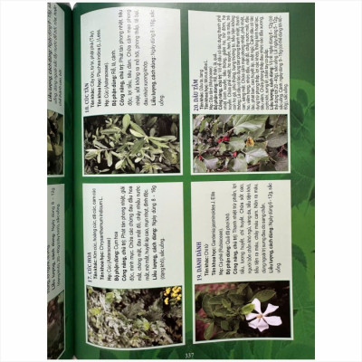 Sách Tuyển Chọn Các Bài thuốc Nam Chữa Triị Bệnh Theo Mùa, Các Bệnh Hậu COVID - V2494D