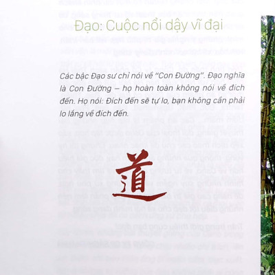 Đạo - Osho (Tái Bản 2022)