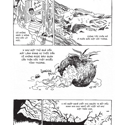 Về Nơi Có Nhiều Cánh Đồng (Tái Bản 2023)