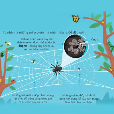 Sách - 100 bí ẩn đáng kinh ngạc về Khoa học (USBORNE - 100 things to know about science)