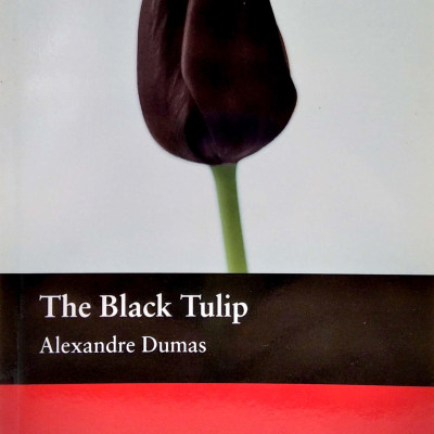 Macmillan Readers: Black Tulip Beg