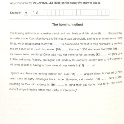Cam English First 2 SB w Ans (FCC)
