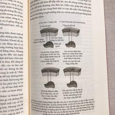 Giải mã tâm trí - Kiểm soát cảm xúc