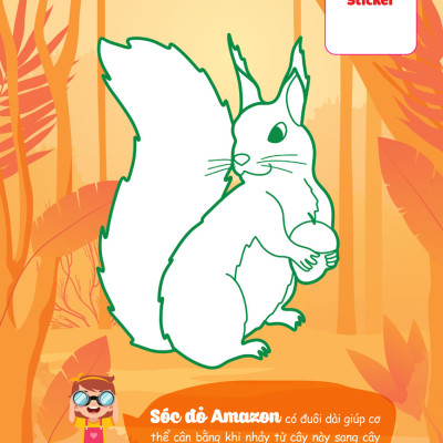 Con Tô Màu - Thám Hiểm Amazon _MEGA	