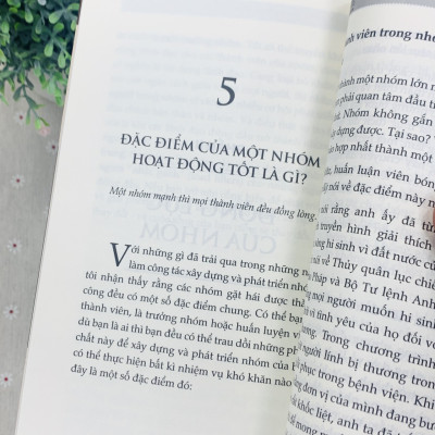 Làm Việc Nhóm 101 – Những Điều Nhà Lãnh Đạo Cần Biết