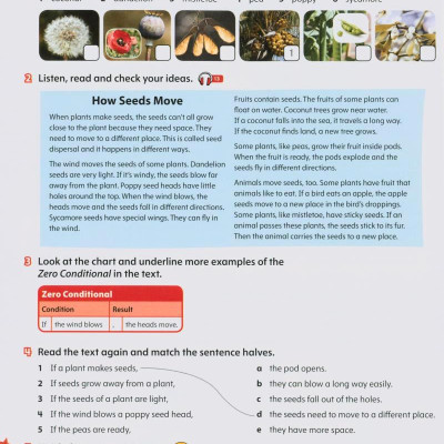 Starlight: Level 5: Student Book