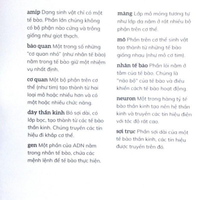 Cơ Thể Người - Trong 30 Giây