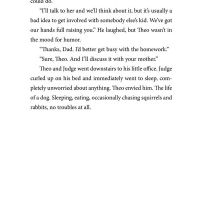 Theodore Boone: The Accomplice