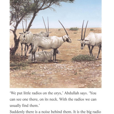 The White Oryx: Easystarts