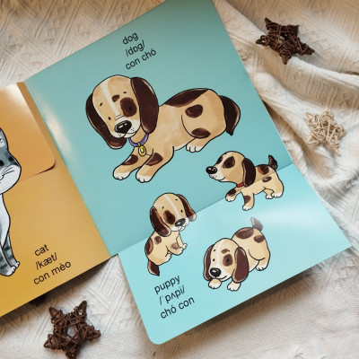 Sách lật mở khám phá - Động vật trưởng thành và con non