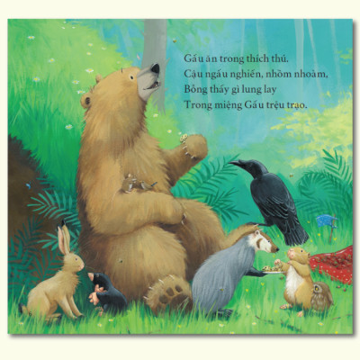 Sách Tranh Song Ngữ Gấu Thay Răng