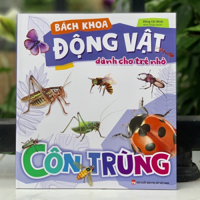 Sách - Bách Khoa Động Vật Dành Cho Trẻ Nhỏ - Côn Trùng